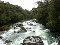New_Zealand (540)